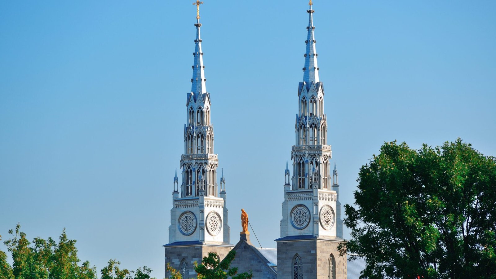 ottawa notre dame basilica